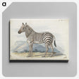 1-9_Charles-Hamilton-Smith_canvas