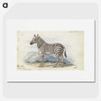 1-9_Charles-Hamilton-Smith_picture