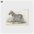 1-9_Charles-Hamilton-Smith_postcard