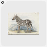 1-9_Charles-Hamilton-Smith_postcard