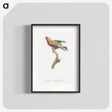 1-9_Des-Oiseaux-de-Paradis_blk
