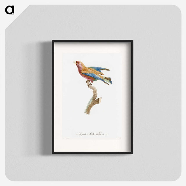 1-9_Des-Oiseaux-de-Paradis_blk