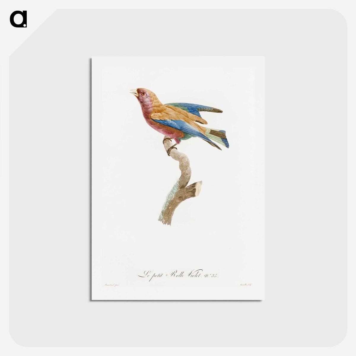 1-9_Des-Oiseaux-de-Paradis_hagaki