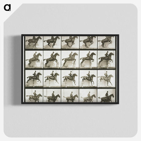 1-9_Eadweard-Muybridge_blk-crop