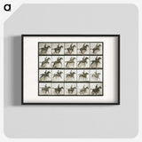 1-9_Eadweard-Muybridge_blk