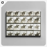 1-9_Eadweard-Muybridge_canvas