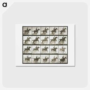 アートポストカード-Jumping a Hurdle
 - エドワード マイブリッジ Postcard.