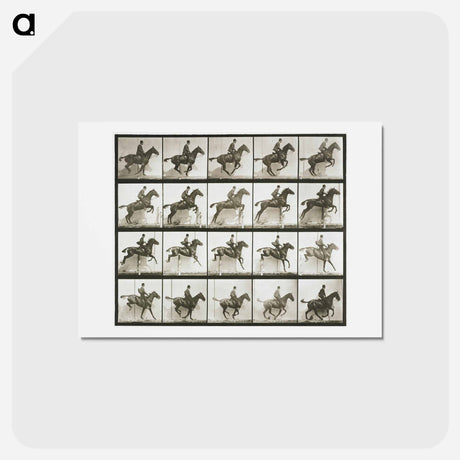 アートポストカード-Jumping a Hurdle
 - エドワード マイブリッジ Postcard.