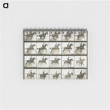 1-9_Eadweard-Muybridge_memo