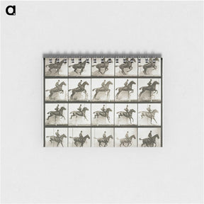 1-9_Eadweard-Muybridge_memo