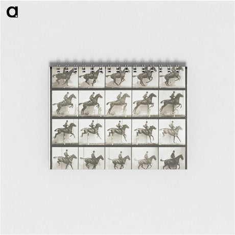 1-9_Eadweard-Muybridge_memo