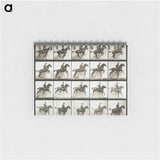 アートメモ帳-Jumping a Hurdle
 - エドワード マイブリッジ Memo.