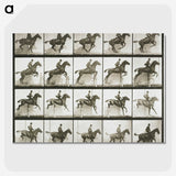 1-9_Eadweard-Muybridge_picture-crop