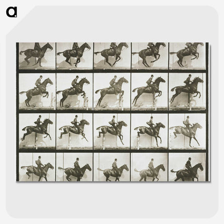 1-9_Eadweard-Muybridge_picture-crop