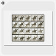 1-9_Eadweard-Muybridge_picture