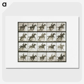 1-9_Eadweard-Muybridge_picture