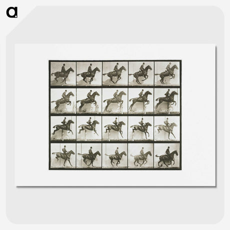1-9_Eadweard-Muybridge_picture