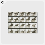 アートポストカード-Jumping a Hurdle
 - エドワード マイブリッジ Postcard.