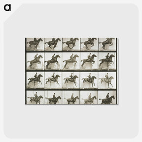 1-9_Eadweard-Muybridge_postcard
