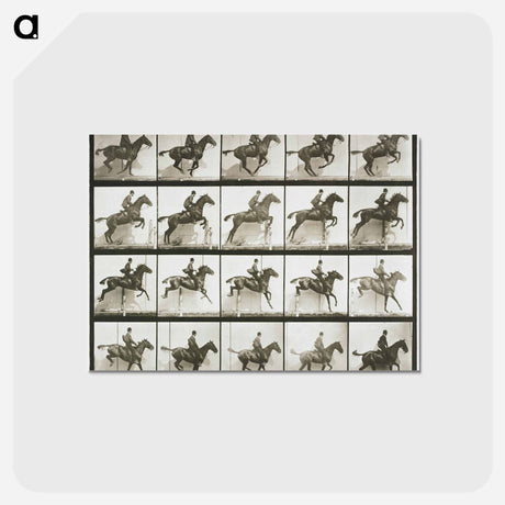 アートポストカード-Jumping a Hurdle
 - エドワード マイブリッジ Postcard.