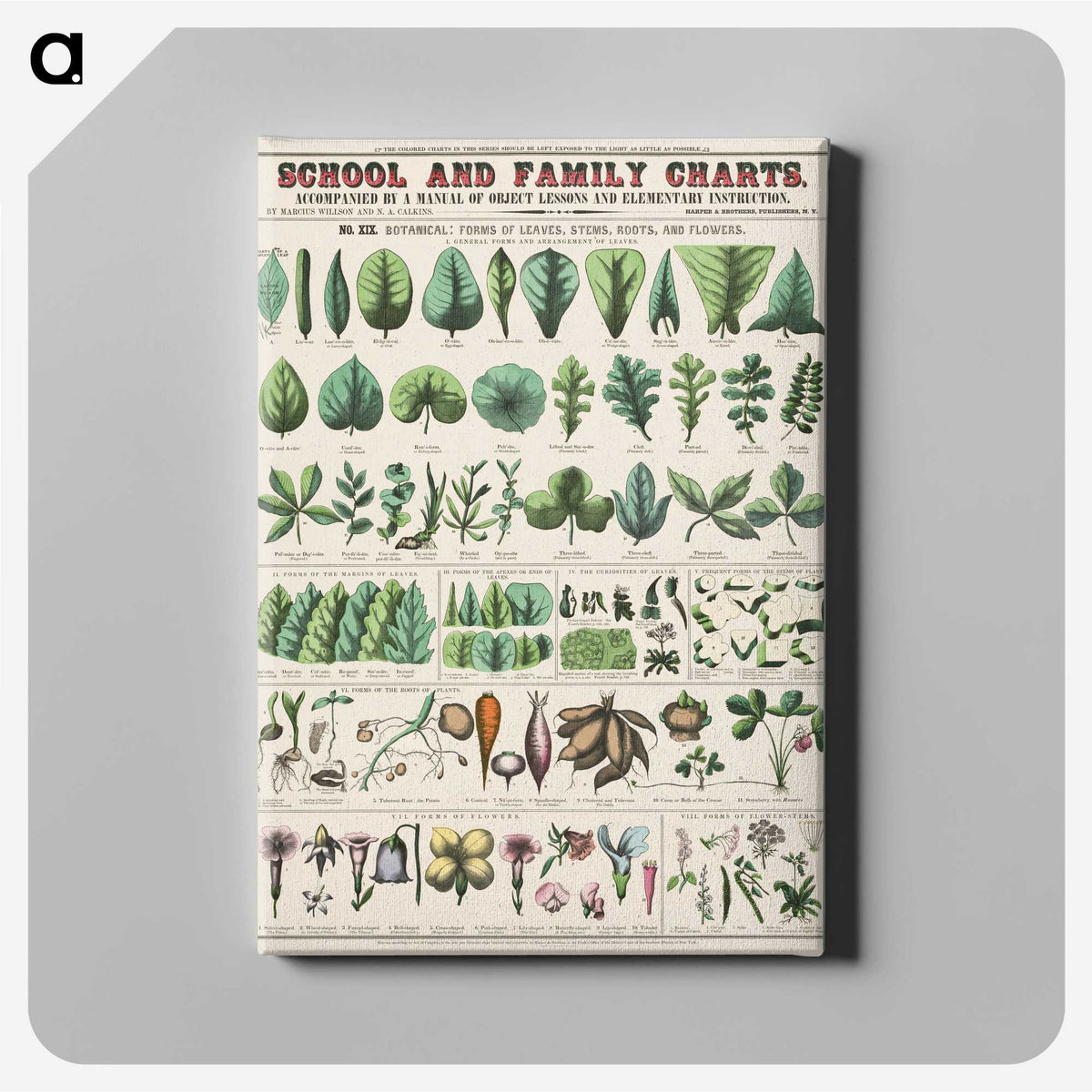 1-9_Education-Charts_canvas