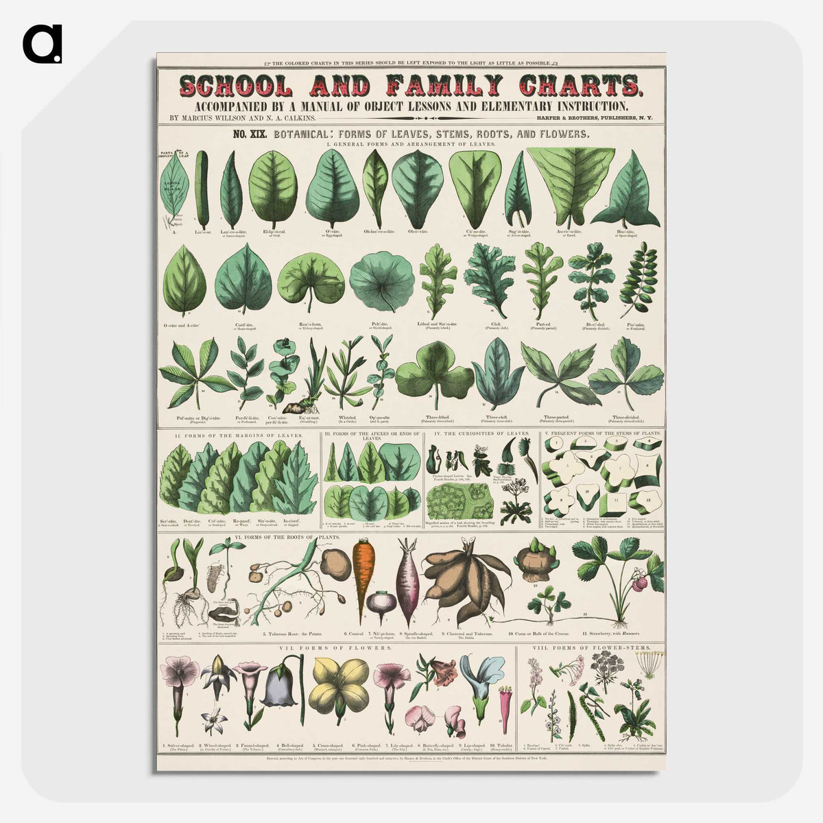 1-9_Education-Charts_picture-crop