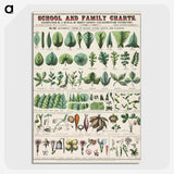 1-9_Education-Charts_picture-crop