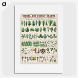 1-9_Education-Charts_picture