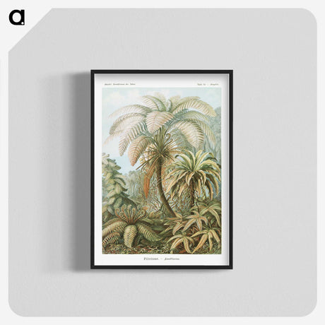 1-9_Ernst-Haeckel_blk-crop