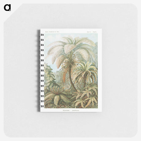 1-9_Ernst-Haeckel_memo