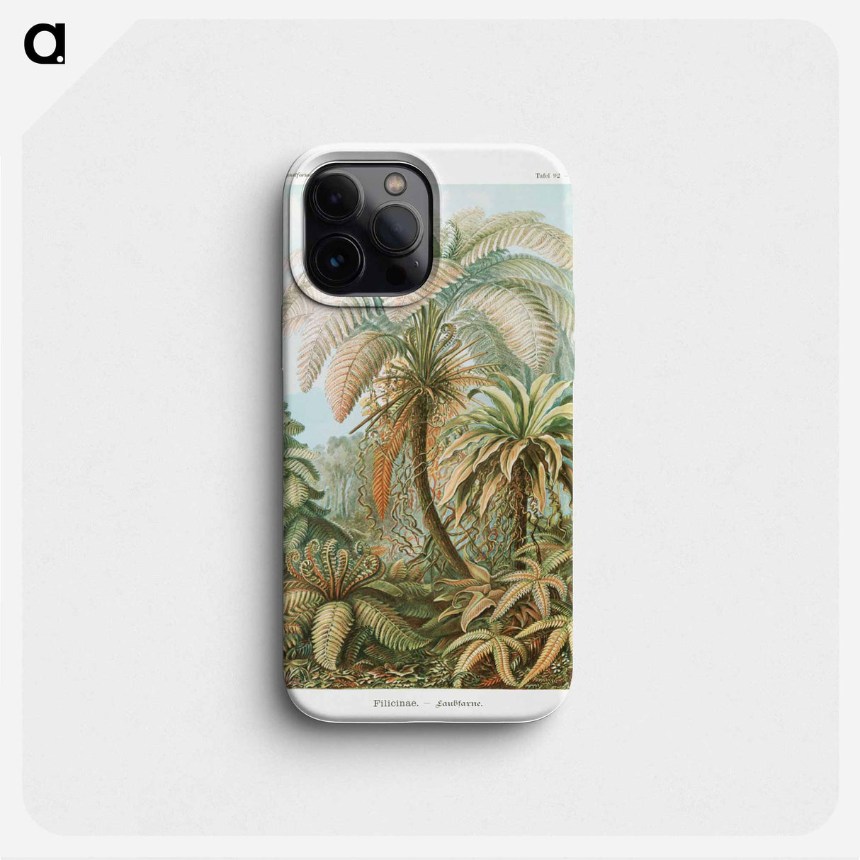 Filicinae–Laubfarne - エルンスト ヘッケル Phone Case.