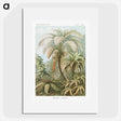 1-9_Ernst-Haeckel_picture
