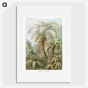1-9_Ernst-Haeckel_picture