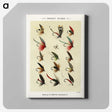1-9_Favorite-Flies-and-Their-History_canvas