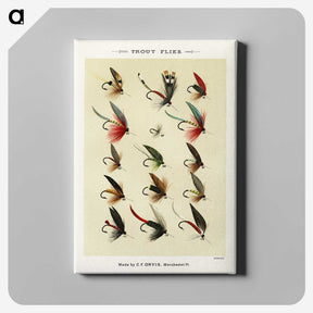 1-9_Favorite-Flies-and-Their-History_canvas