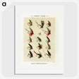 1-9_Favorite-Flies-and-Their-History_picture