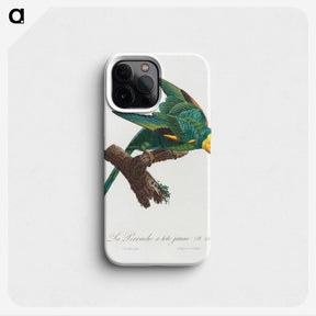 1-9_Francois-Levaillant_phone