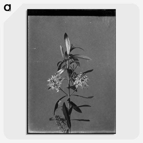 1-9_Frederick-Charles-Brockett_picture-crop