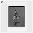 1-9_Frederick-Charles-Brockett_picture