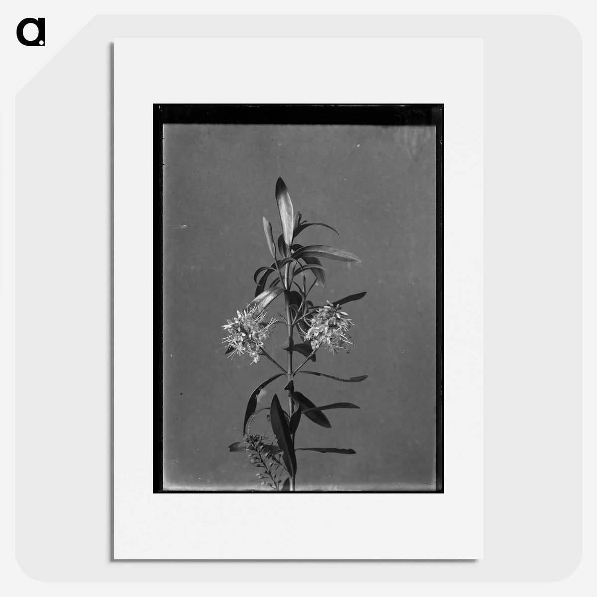 1-9_Frederick-Charles-Brockett_picture