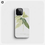 1-9_Georg-Dionysius-Ehret_phone