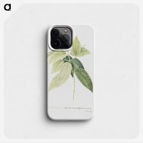 1-9_Georg-Dionysius-Ehret_phone