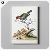 1-9_George-Edwards_canvas