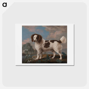 アートポストカード-Norfolk Spaniel
 - ジョージ スタッブス Postcard.