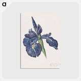アートポストカード-Iris
 - ジョージアス ヤコブス ヨハネス ファン オス Postcard.