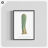 1-9_Histoire-des-Plantes-Grasses_blk-crop