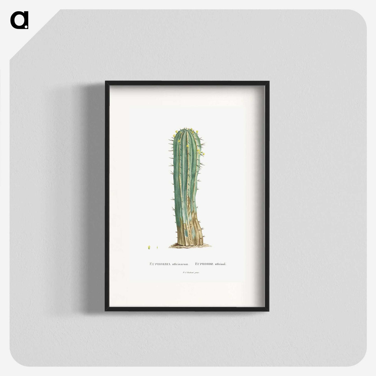1-9_Histoire-des-Plantes-Grasses_blk