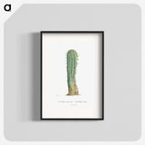 1-9_Histoire-des-Plantes-Grasses_blk