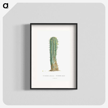 1-9_Histoire-des-Plantes-Grasses_blk