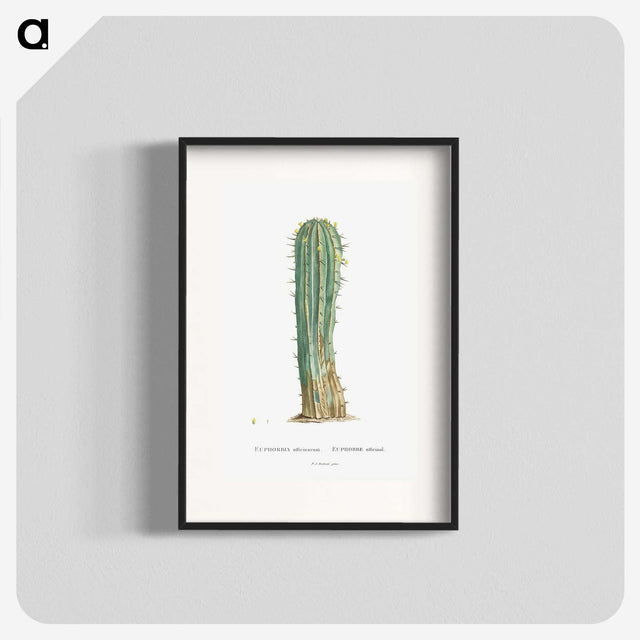 1-9_Histoire-des-Plantes-Grasses_blk